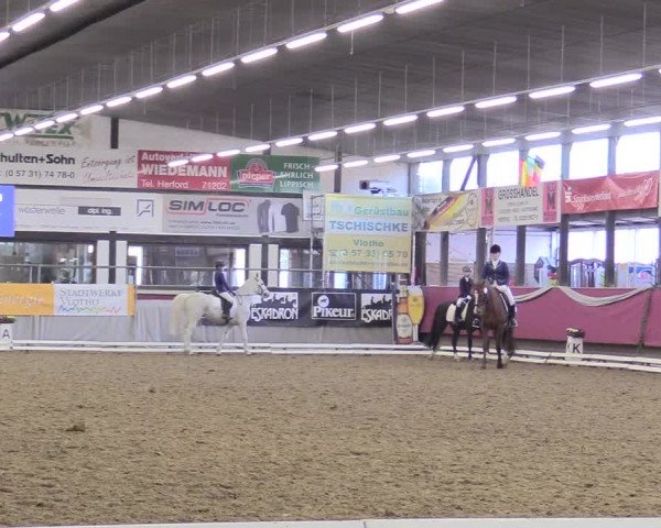 Reitturnier Vlotho-Exter 2018