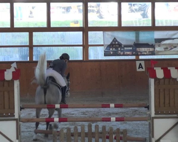 Reitturnier Leichlingen-Witzhelden 2018