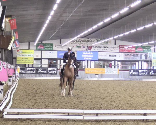 Reitturnier Vlotho-Exter 2018