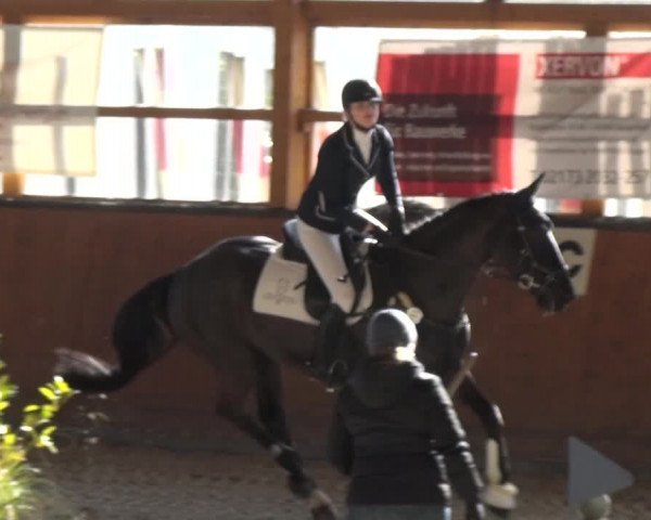 Reitturnier Leichlingen-Witzhelden 2018