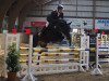 jumper Cafe's Colina (Oldenburg show jumper, 2012, from Cafe au lait 2)