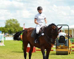 jumper Call Girl 4 (German Warmblood, 2003, from Chequille 2)