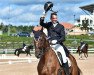 dressage horse Don Heinrich 2 (Hanoverian, 2002, from Don Bosco)