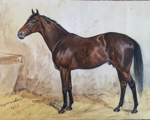 stallion Pumpernickel xx (Thoroughbred, 1884, from Chamant xx)