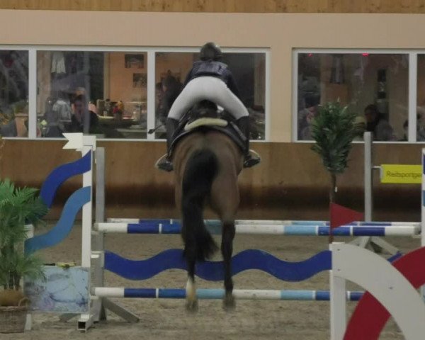 Reitturnier Dettingen 2018