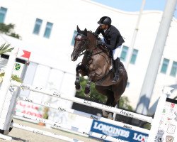 broodmare Sierra Joker (Hanoverian, 2005, from Stakkato)