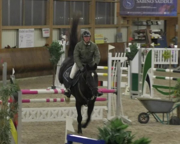 Reitturnier Dettingen 2018
