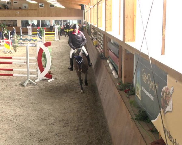 Reitturnier Dettingen 2018