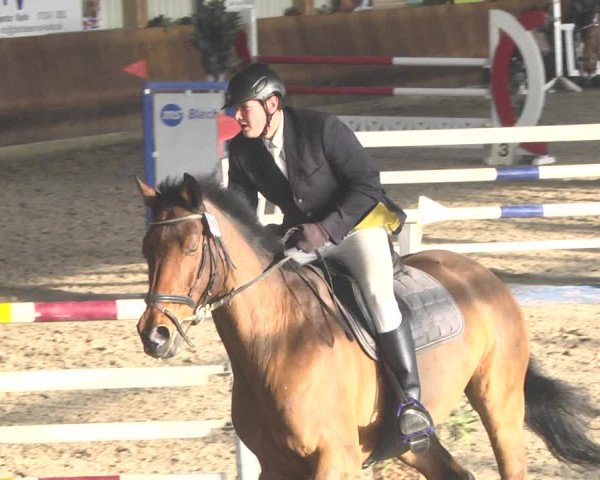 Reitturnier Dettingen 2018