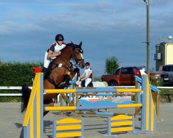 broodmare ATARA (Holsteiner, 2008, from Larimar)