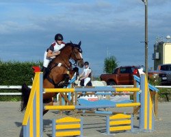 broodmare Atara (Holsteiner, 2008, from Larimar)