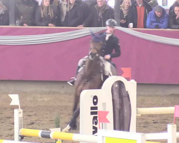 Reitturnier Vlotho-Exter 2018