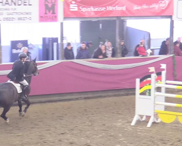 Reitturnier Vlotho-Exter 2018