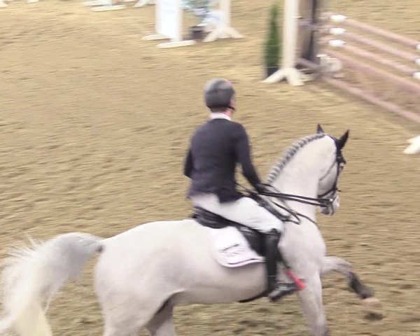 Reitturnier Vlotho-Exter 2018