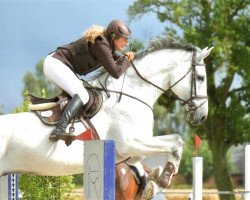 jumper Campino H 2 (Oldenburg show jumper, 2006, from Calato)