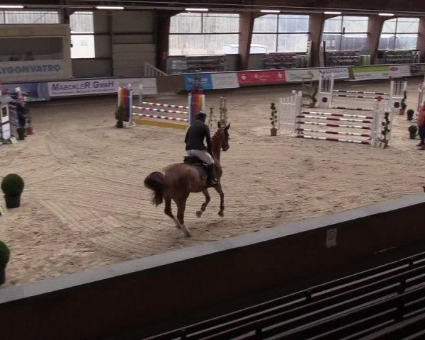 Reitturnier Kreuztal 2018