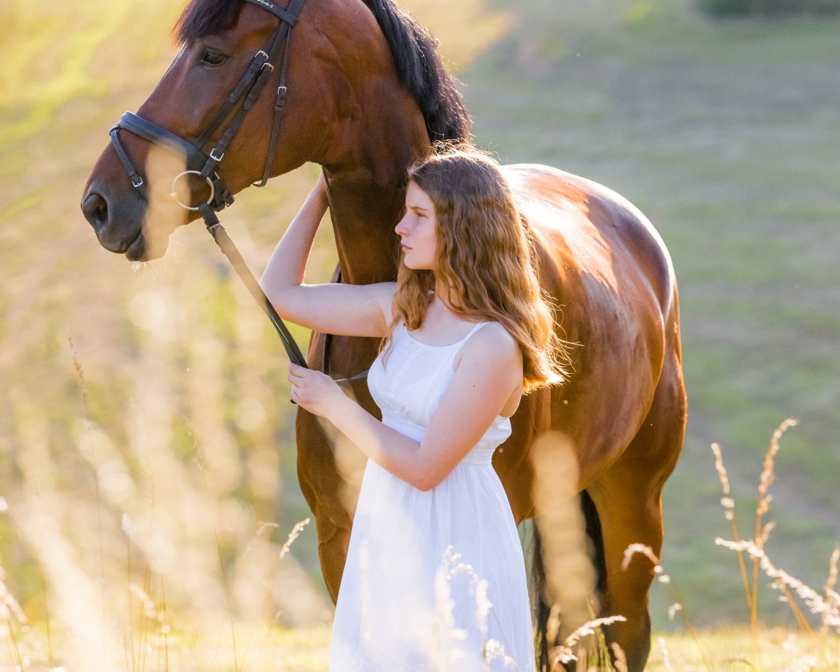dressage horse Fantastic Fidefix (Westphalian, 2007, from Flovino)