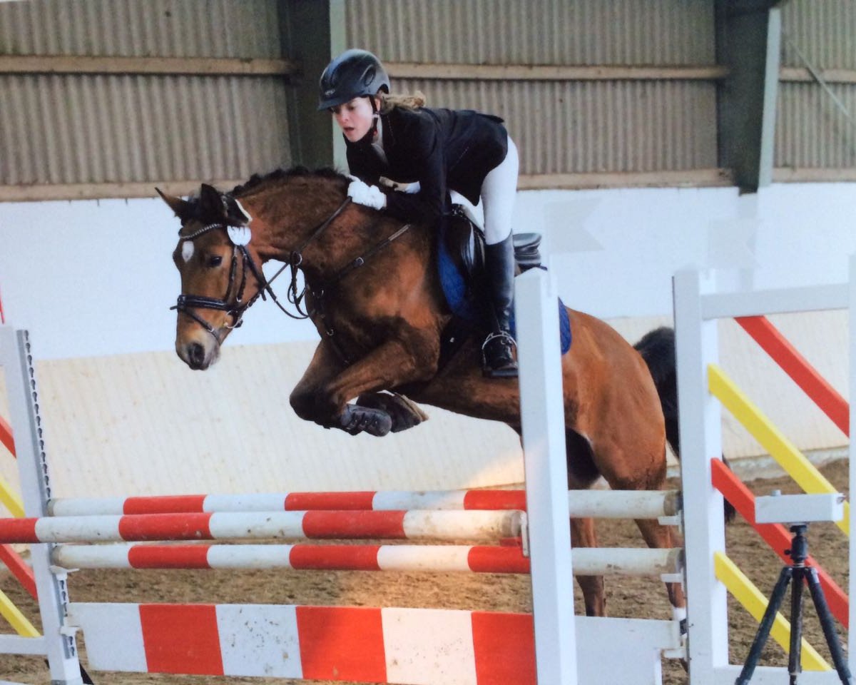jumper Myboy 2 (Pony without race description, 2010)