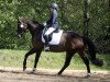 dressage horse Dahlina (Hanoverian, 2009, from Dancier)