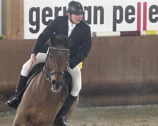 Reitturnier Dettingen 2018