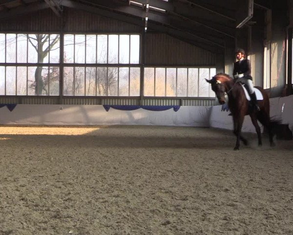 Reitturnier Greven 2018
