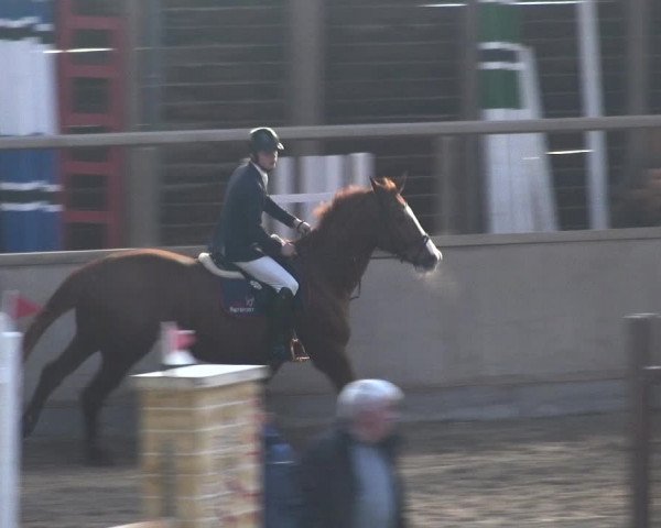 Reitturnier Heidelberg-Kirchheim 2018