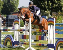 jumper Lutmar's Bo (Nederlands Welsh Ridepony, 2005, from Aester El Nino)