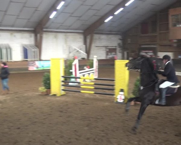 Reitturnier Hamburg-Hummelsbüttel 2018