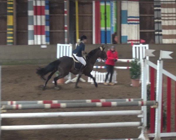 Reitturnier Hamburg-Hummelsbüttel 2018