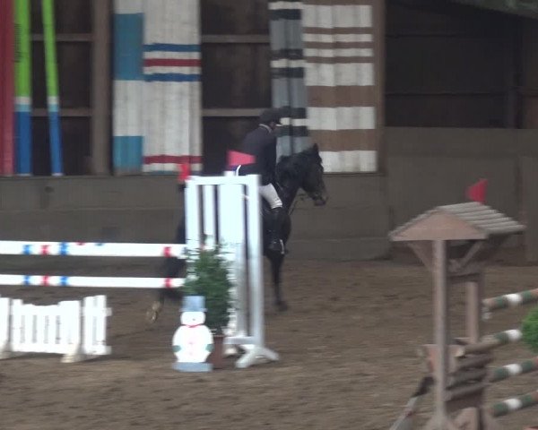Reitturnier Hamburg-Hummelsbüttel 2018