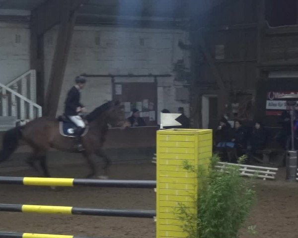 Reitturnier Hamburg-Hummelsbüttel 2018
