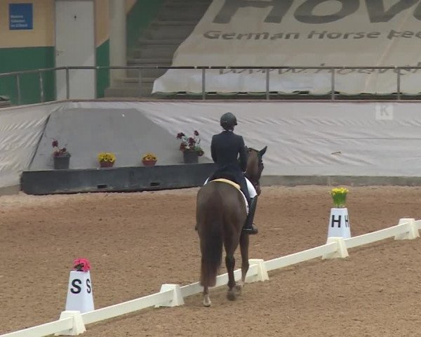 Reitturnier Kreuth 2018