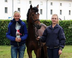 broodmare Top Debbi Delina (German Riding Pony, 2013, from Miami 42)