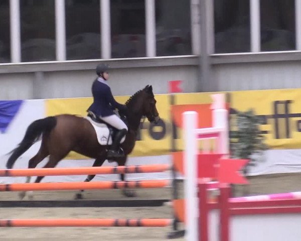 Reitturnier Greven 2018