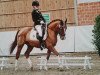 dressage horse het Askaban (German Riding Pony, 2010, from A Gorgeous)