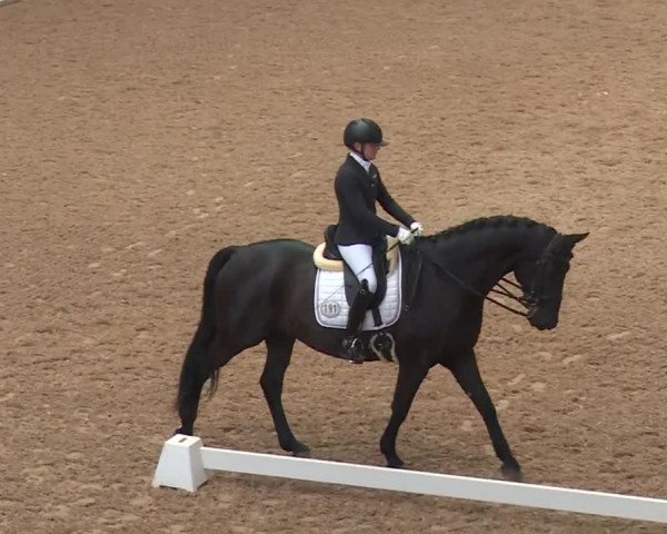 Reitturnier Kreuth 2018