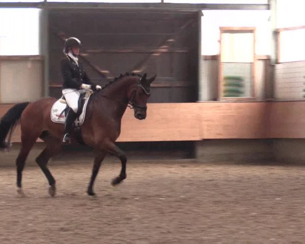 Reitturnier Alt Marl 2018