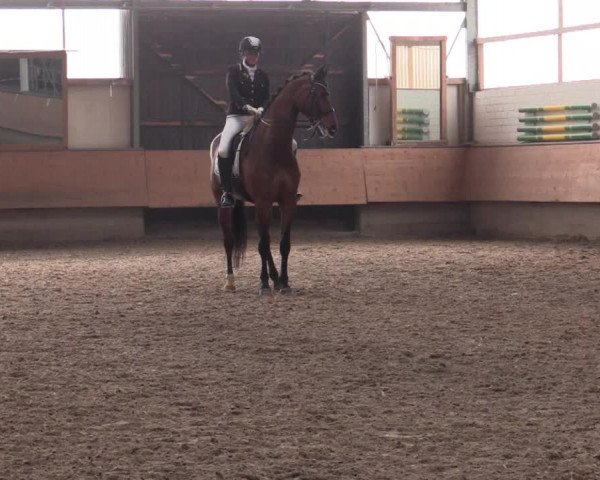Reitturnier Alt Marl 2018