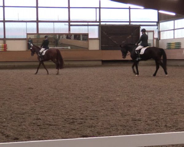 Reitturnier Alt Marl 2018