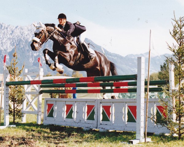 broodmare Wendy II (Holsteiner, 1984, from Cor de la Bryère)