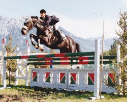 Zuchtstute Wendy II (Holsteiner, 1984, von Cor de la Bryère)