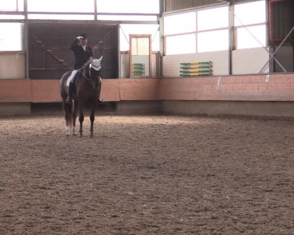 Reitturnier Alt Marl 2018