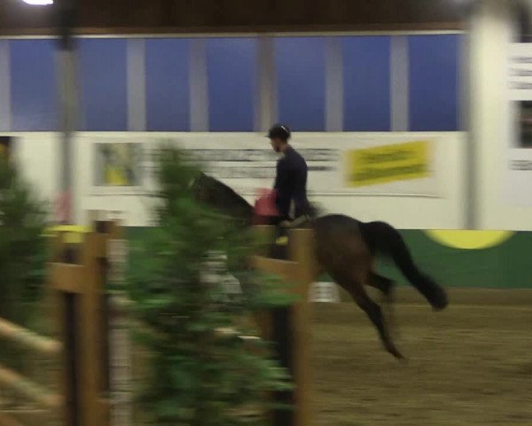 Reitturnier Warendorf-Freckenhorst 2018
