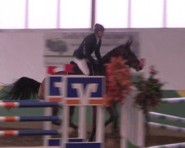 Reitturnier Warendorf-Freckenhorst 2018