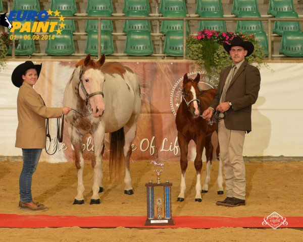 stallion Hengst von BC Ultimate Roulette (Quarter Horse, 2013, from BC Ultimate Roulette)