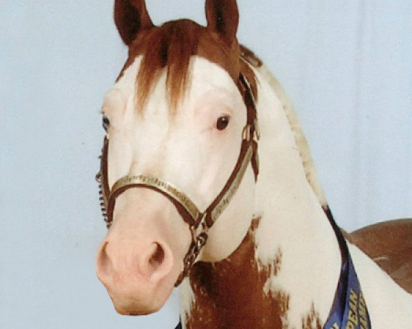 stallion BC Ultimate Roulette (Quarter Horse, 1998, from Far Ute Roulette)