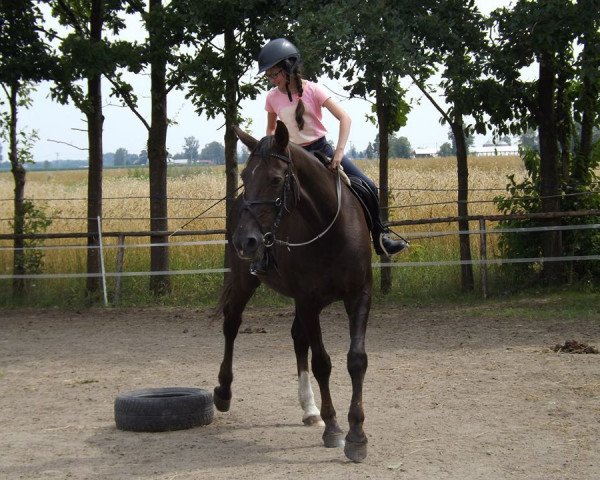 broodmare Nessaja (Brandenburg, 1997, from Nimroy B)