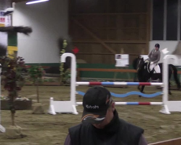 Reitturnier Warendorf-Freckenhorst 2018