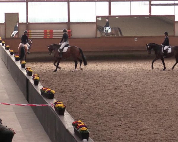 Reitturnier Alt Marl 2018