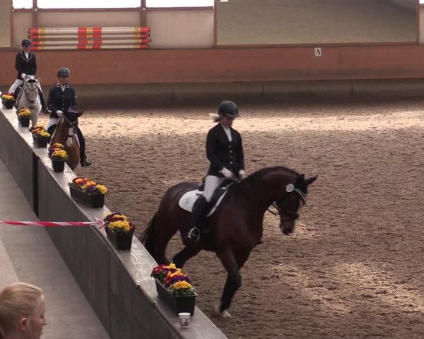 Reitturnier Alt Marl 2018